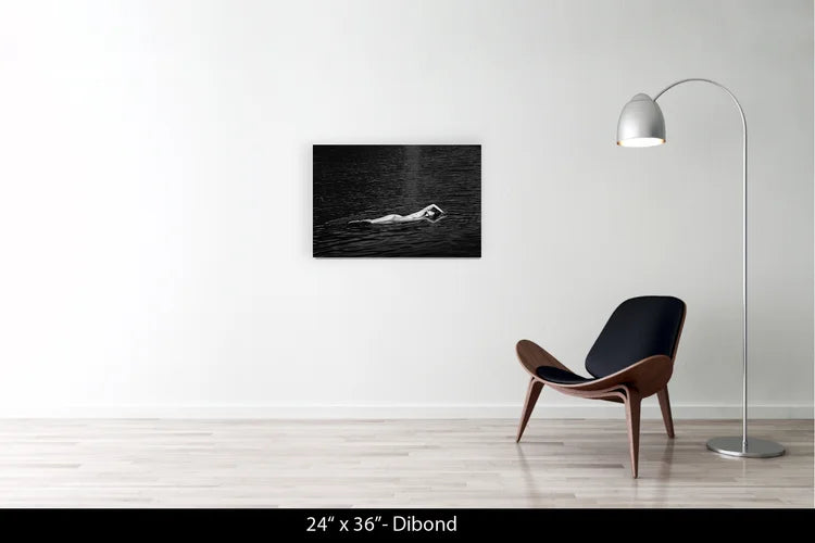 L'INCONNUE DU LAC - ANNECY