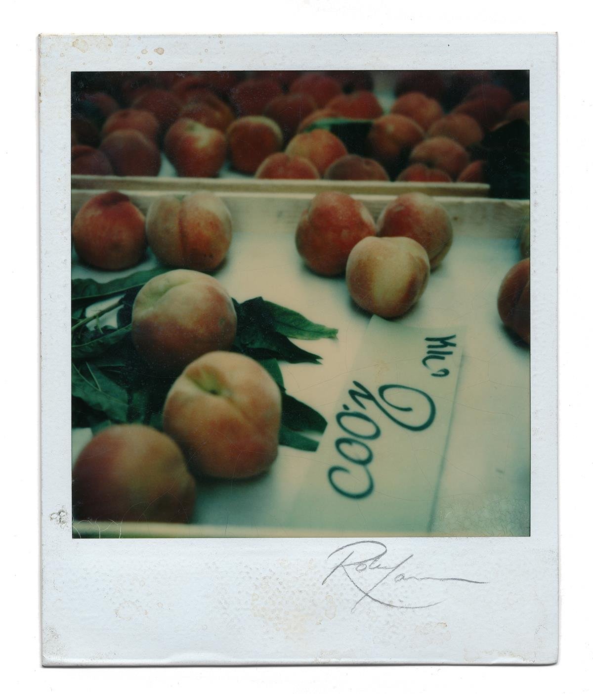 Polaroid SX70 #122 – Peach 2000 Liras
