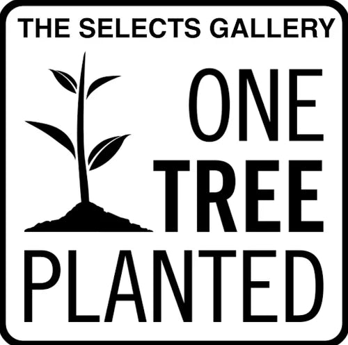 Partnership with ONE TREE PLANTED