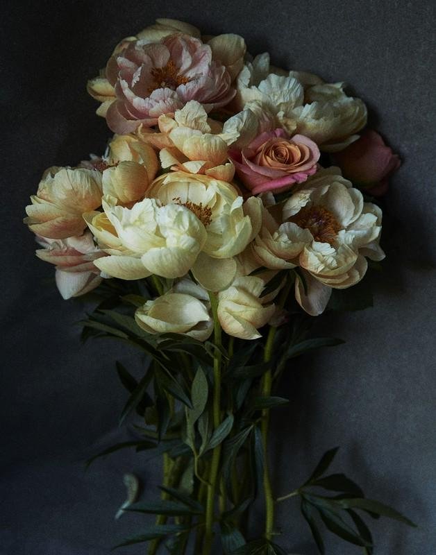 Richard Phibbs Photography | Photographer | The Selects Gallery