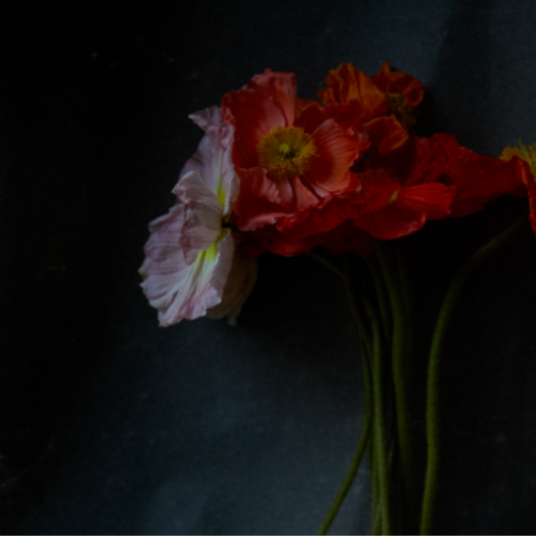 Quarantine Flowers, 2021