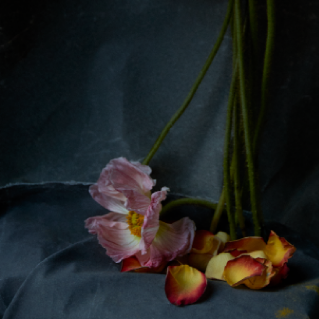 Quarantine Flowers, 2021