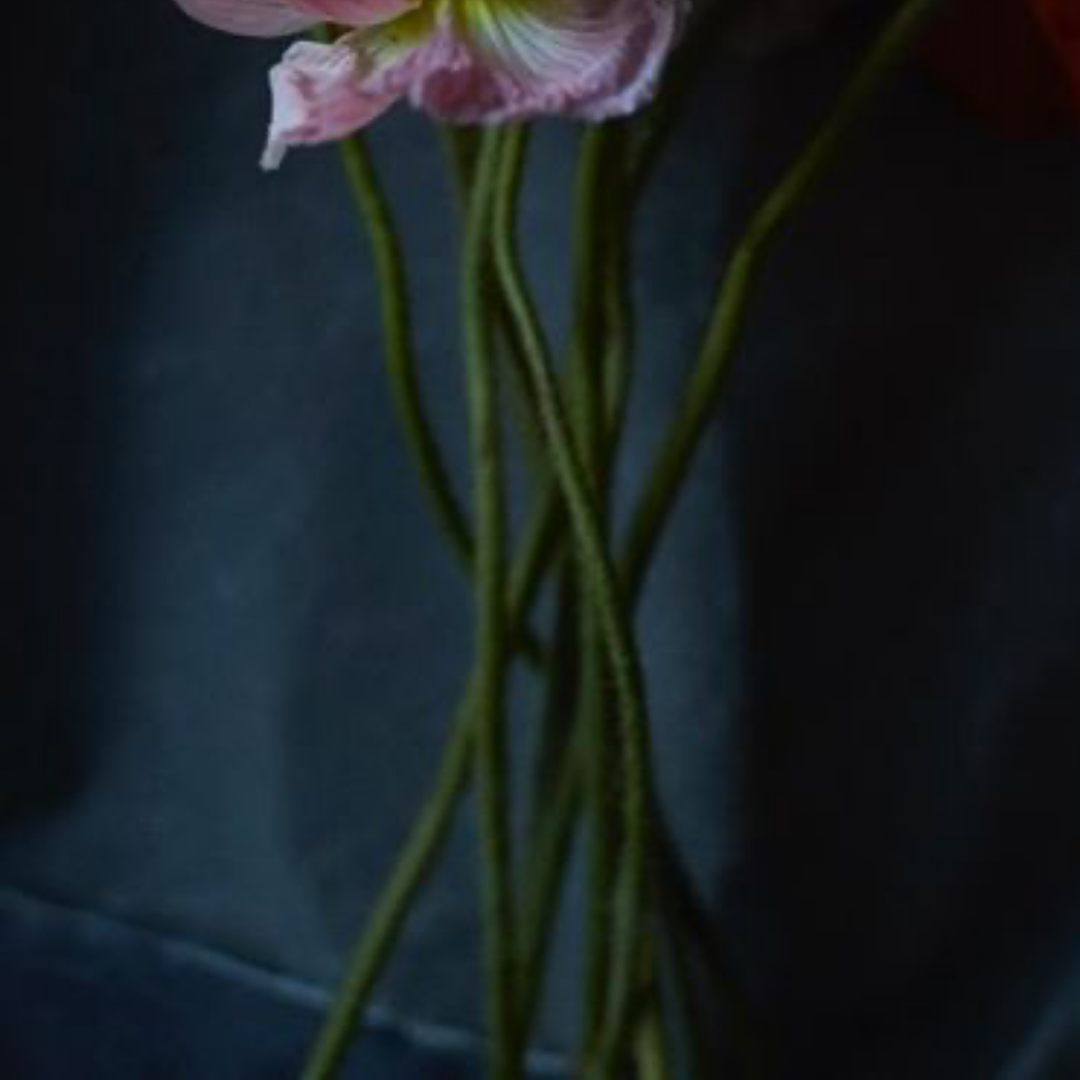 QUARANTINE FLOWERS, LONDON, 2021