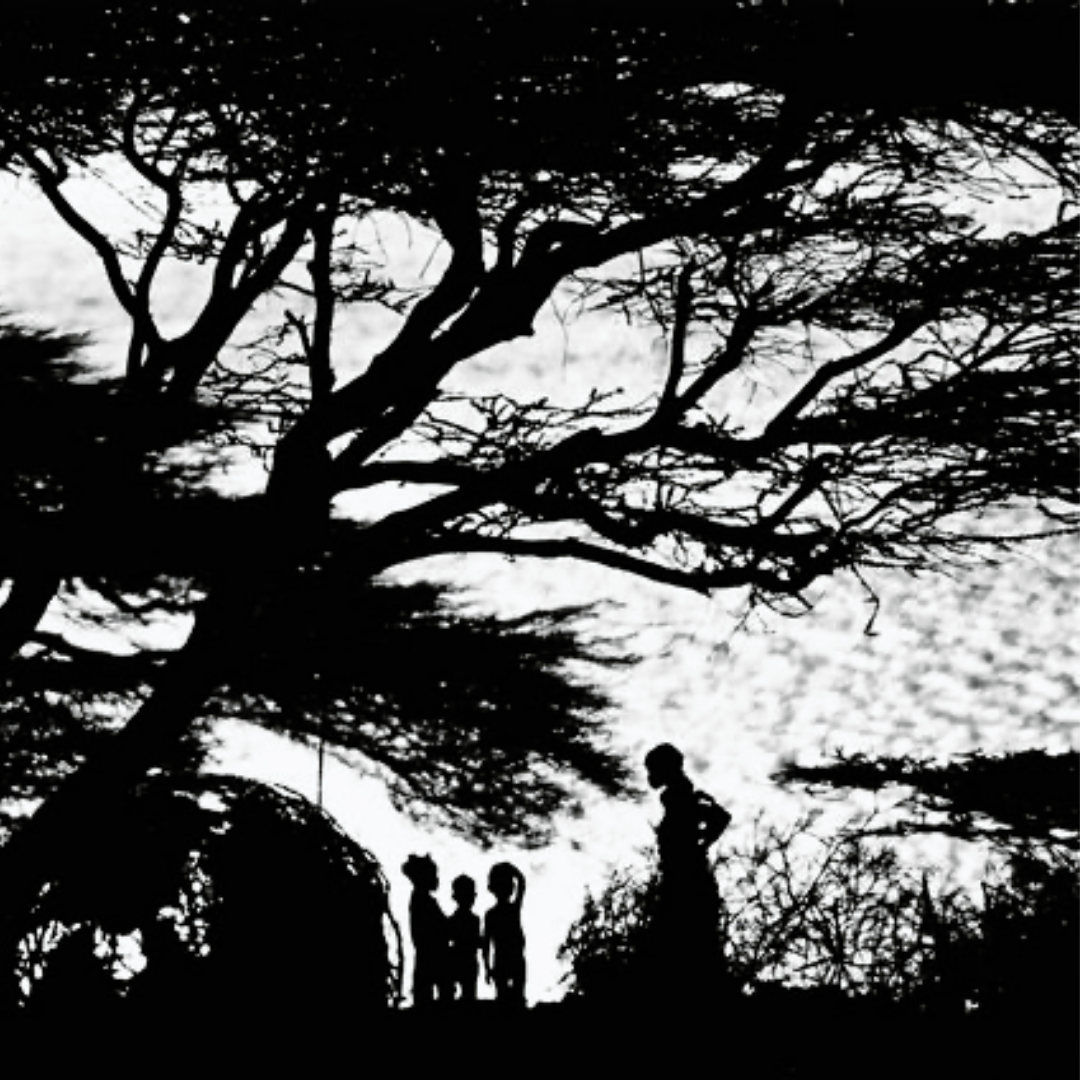 Lake Turkana, the Cradle of Humanity