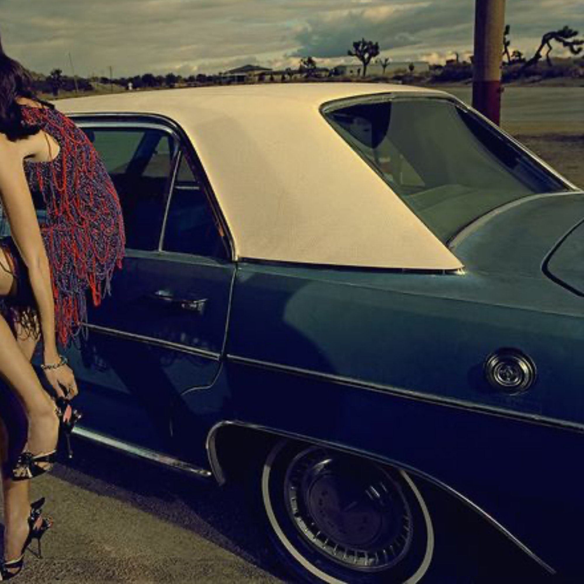 Another Day in Paradise, Alexandra, Palmdale California 2015