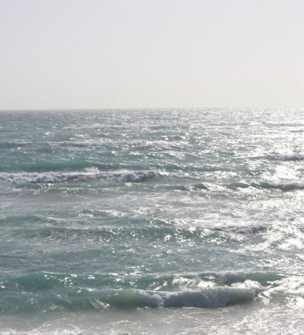 My Own Private Paradise