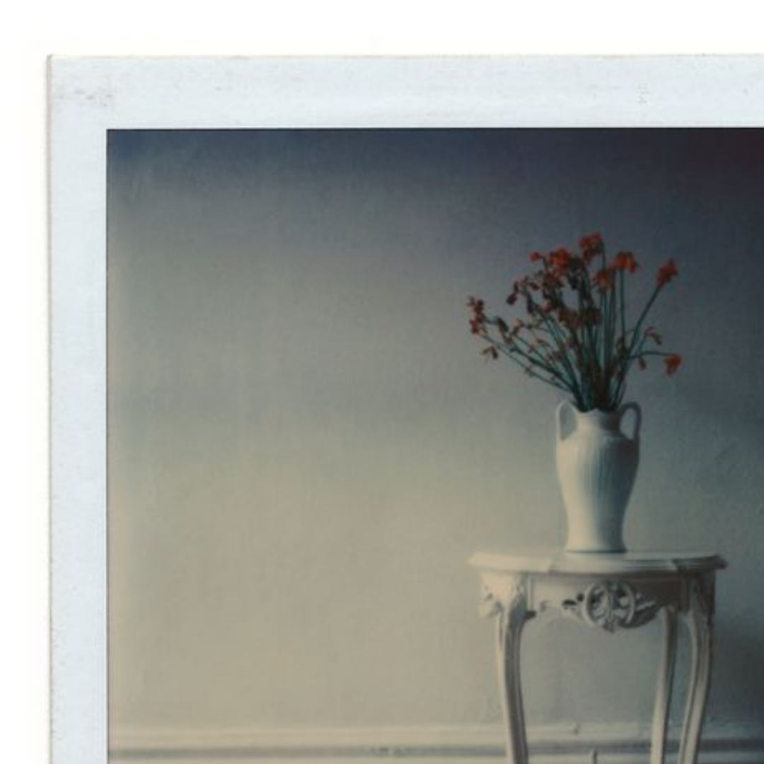 #134 – Flower in Vase