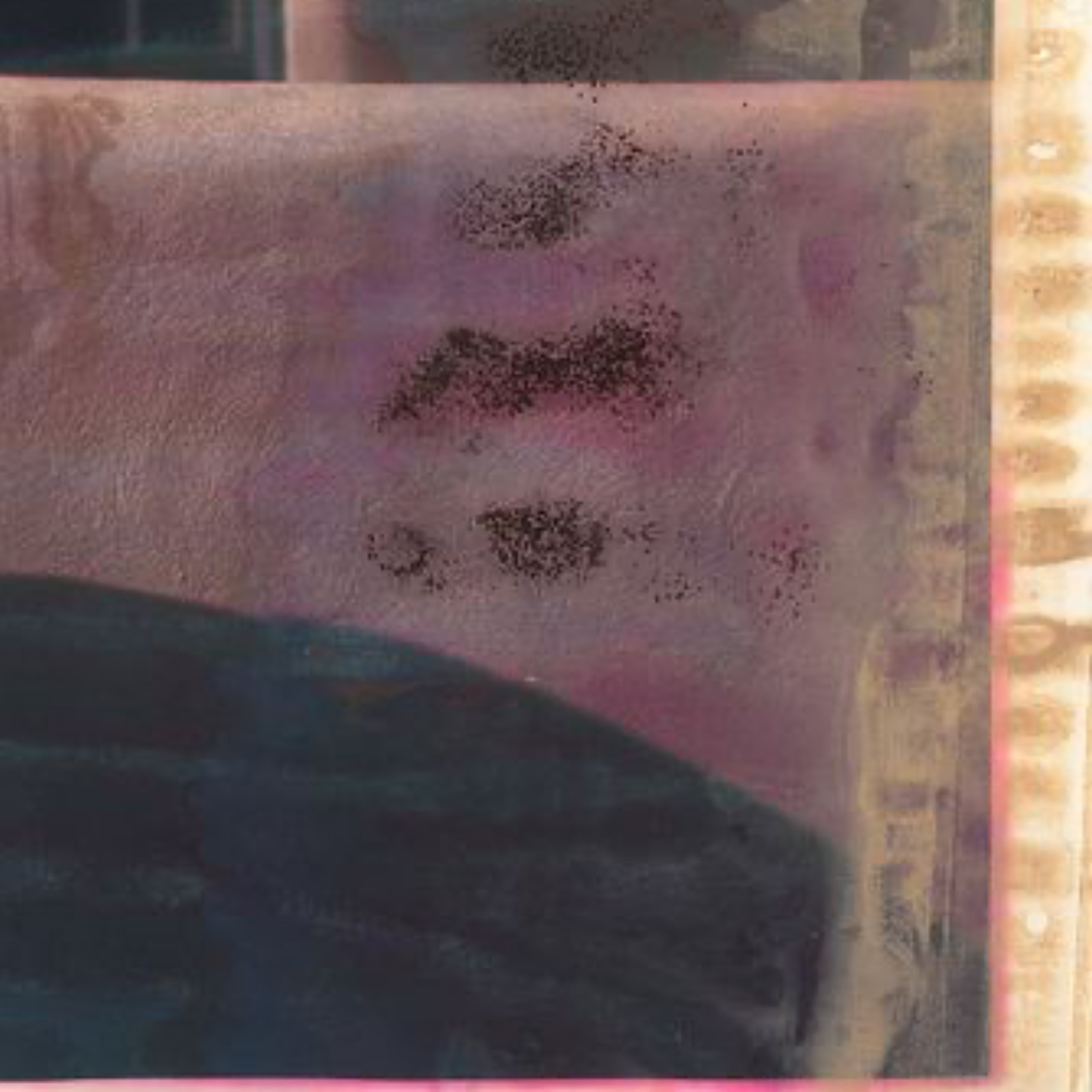 Wet Series Cowboy, 2018