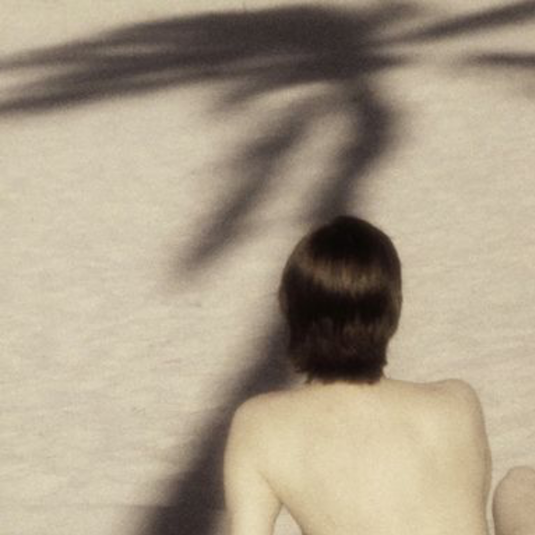 Under the Palm, 1994