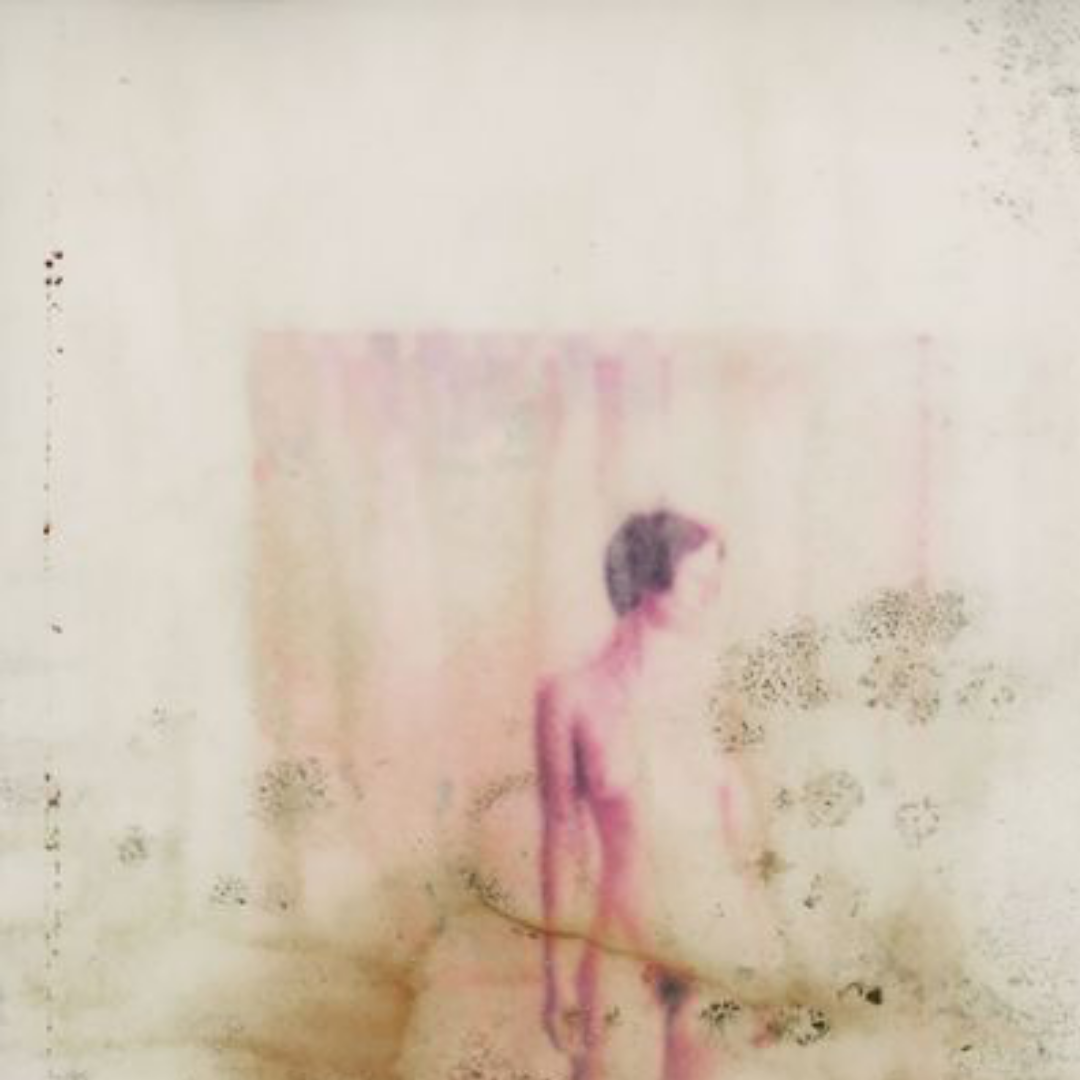 Wet Series 056V, 2018