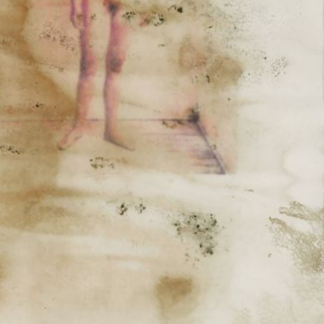 Wet Series 056V, 2018