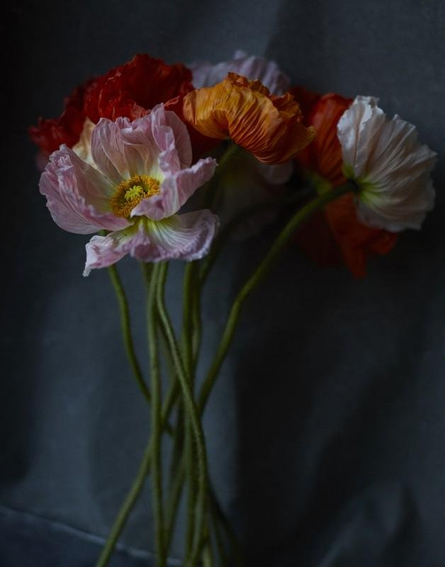 QUARANTINE FLOWERS, LONDON, 2021