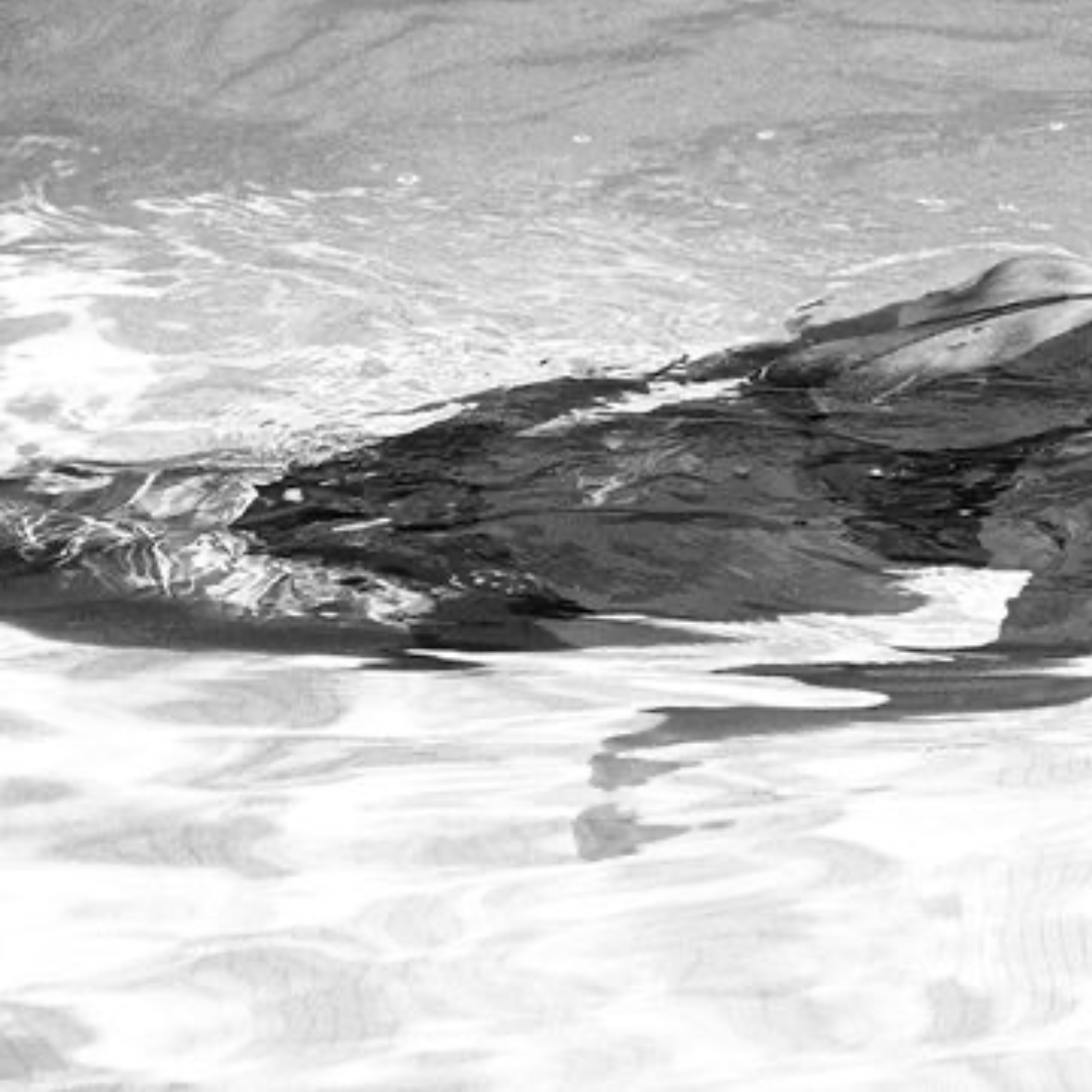 Romy Schneider in St. Tropez, 1972