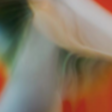 MIDNIGHT IN THE JUNGLE IV