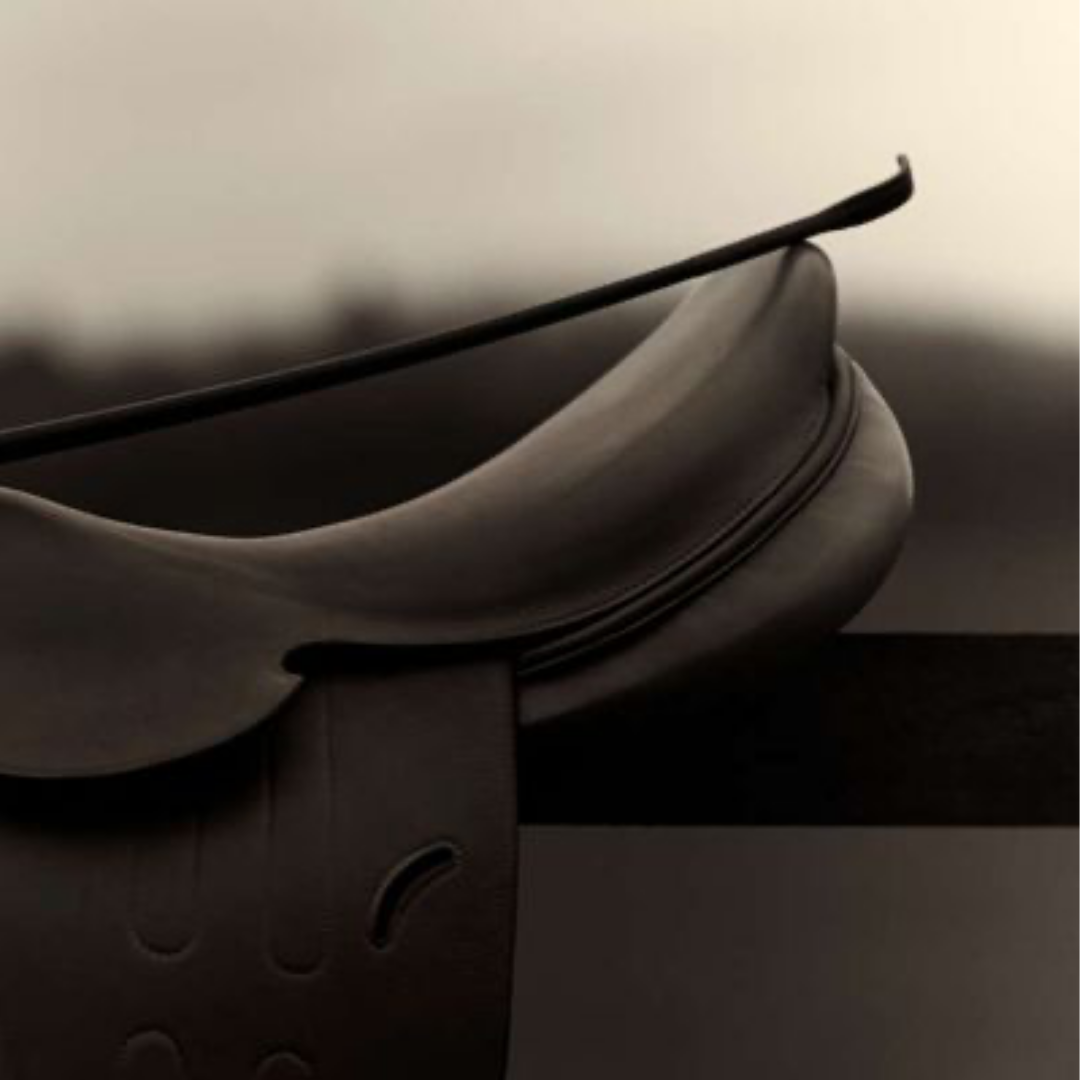 ENGLISH RIDING SADDLE. ENGLAND, 2014