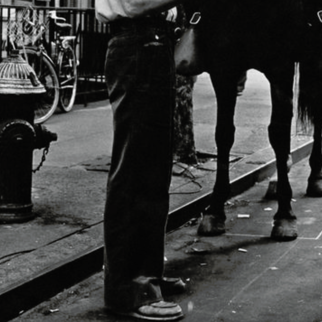 WOODY ALLEN AND NYPD MOUNTED UNIT
