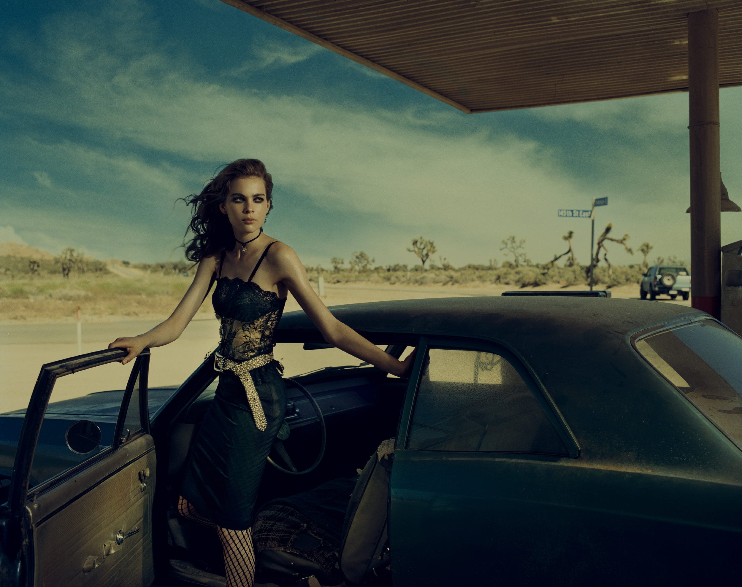 The wild run, Kim Norda , Nevada 2005