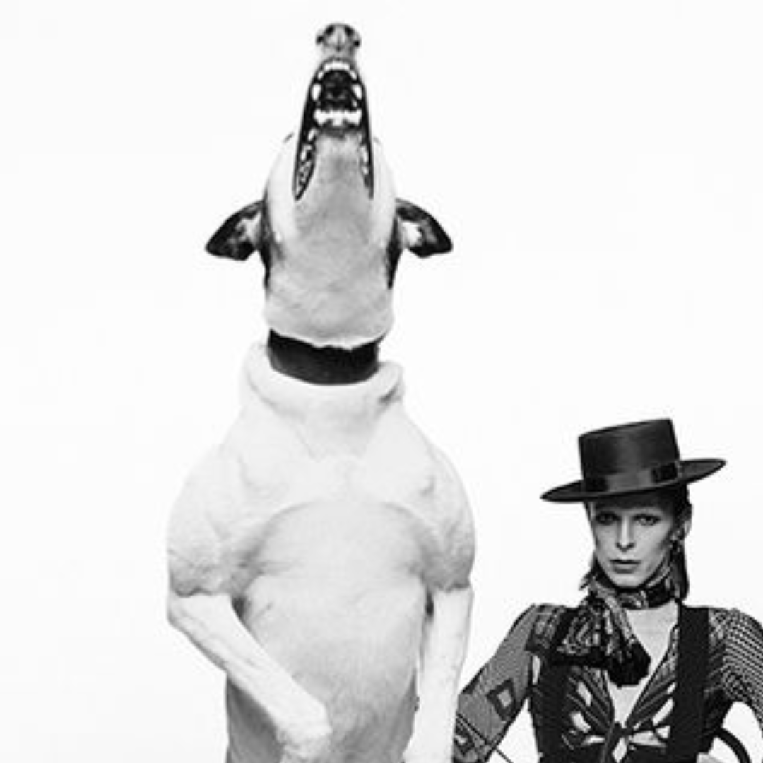 David Bowie, Diamond Dogs, 1974