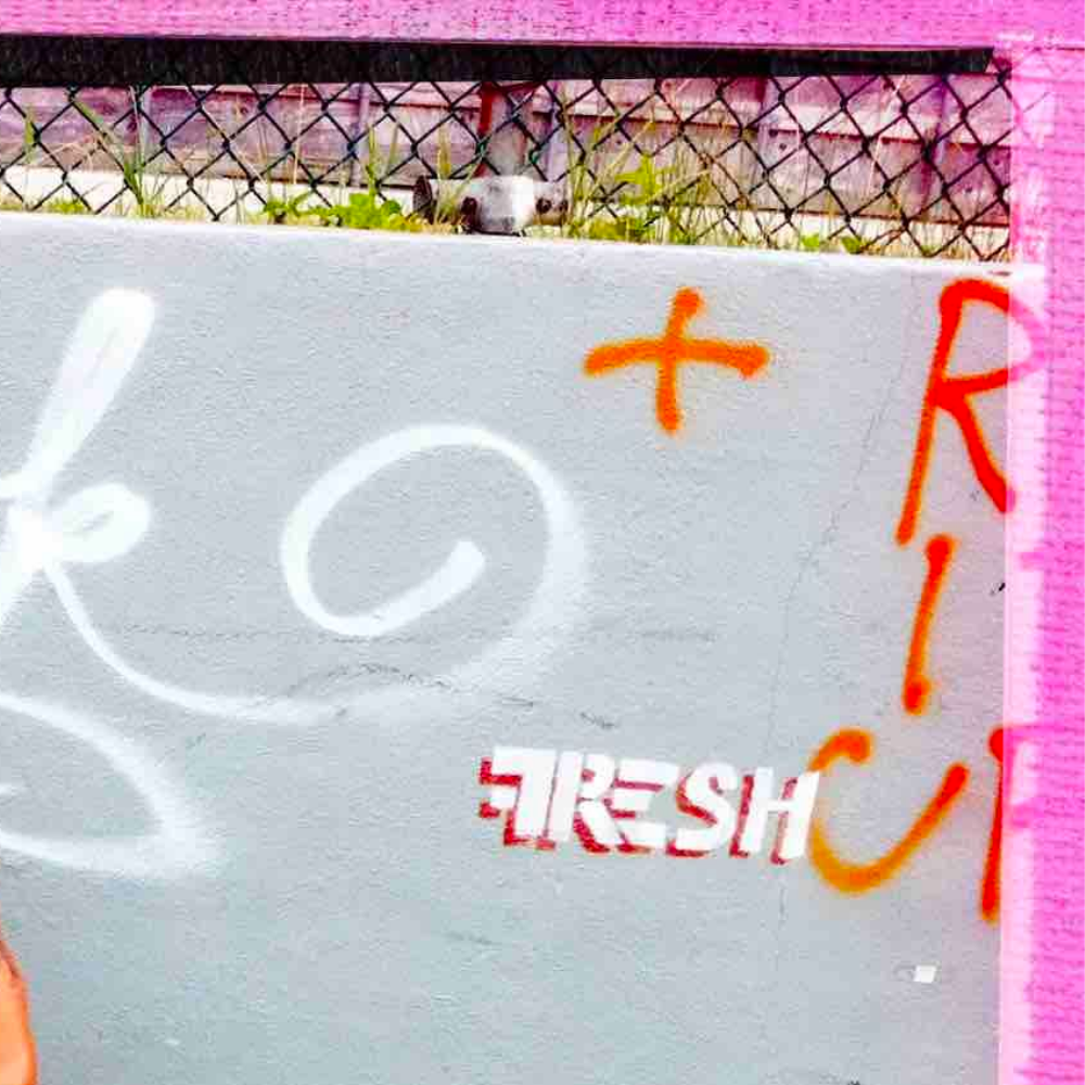 Montauk Dreaming, 11