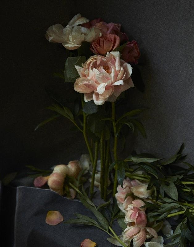 QUARANTINE FLOWERS, LONDON, 2021