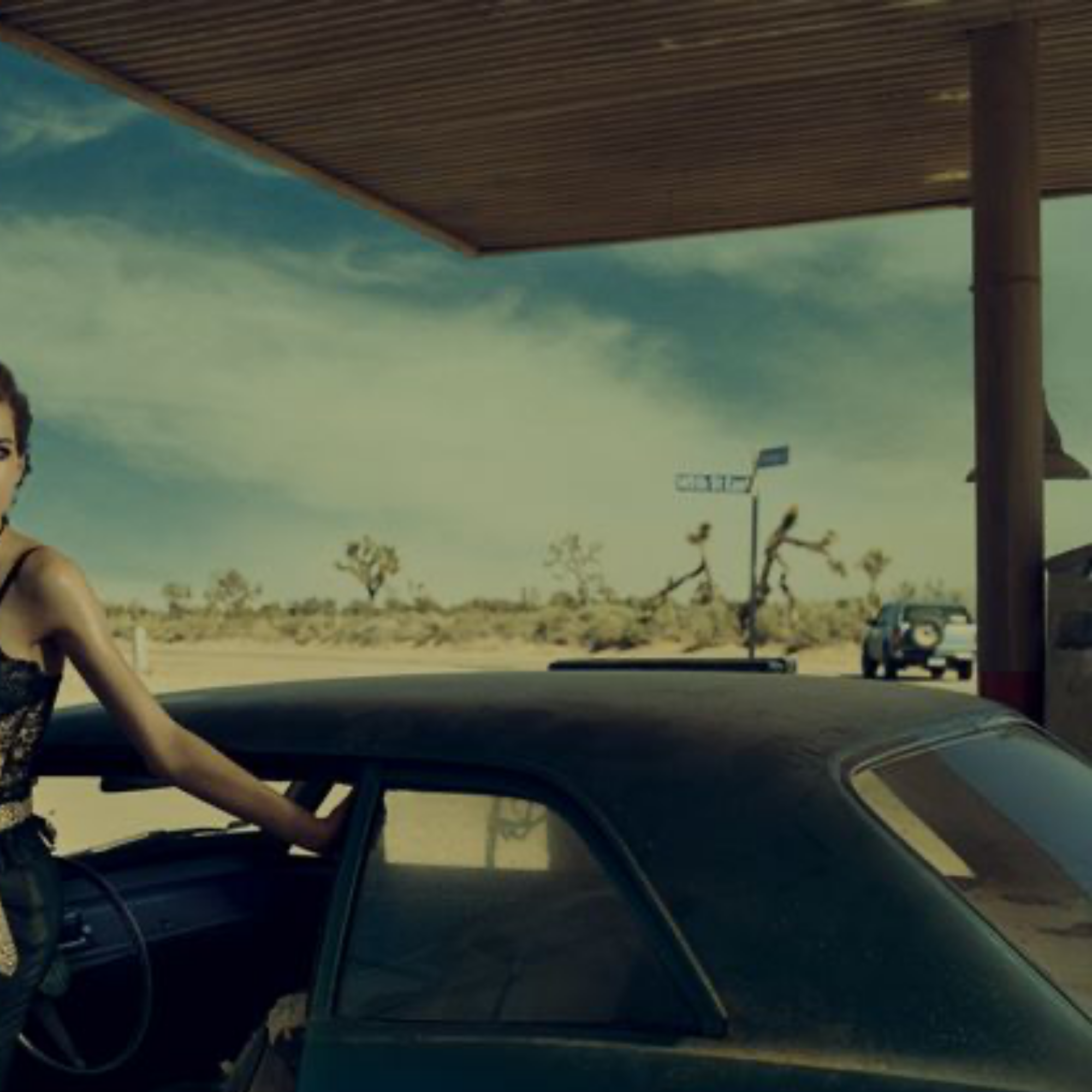 The wild run, Kim Norda , Nevada 2005