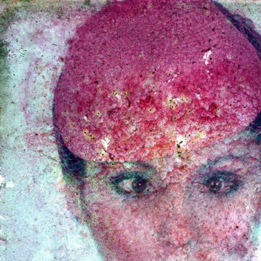 Deterioration Series 048, 1979 - 2013