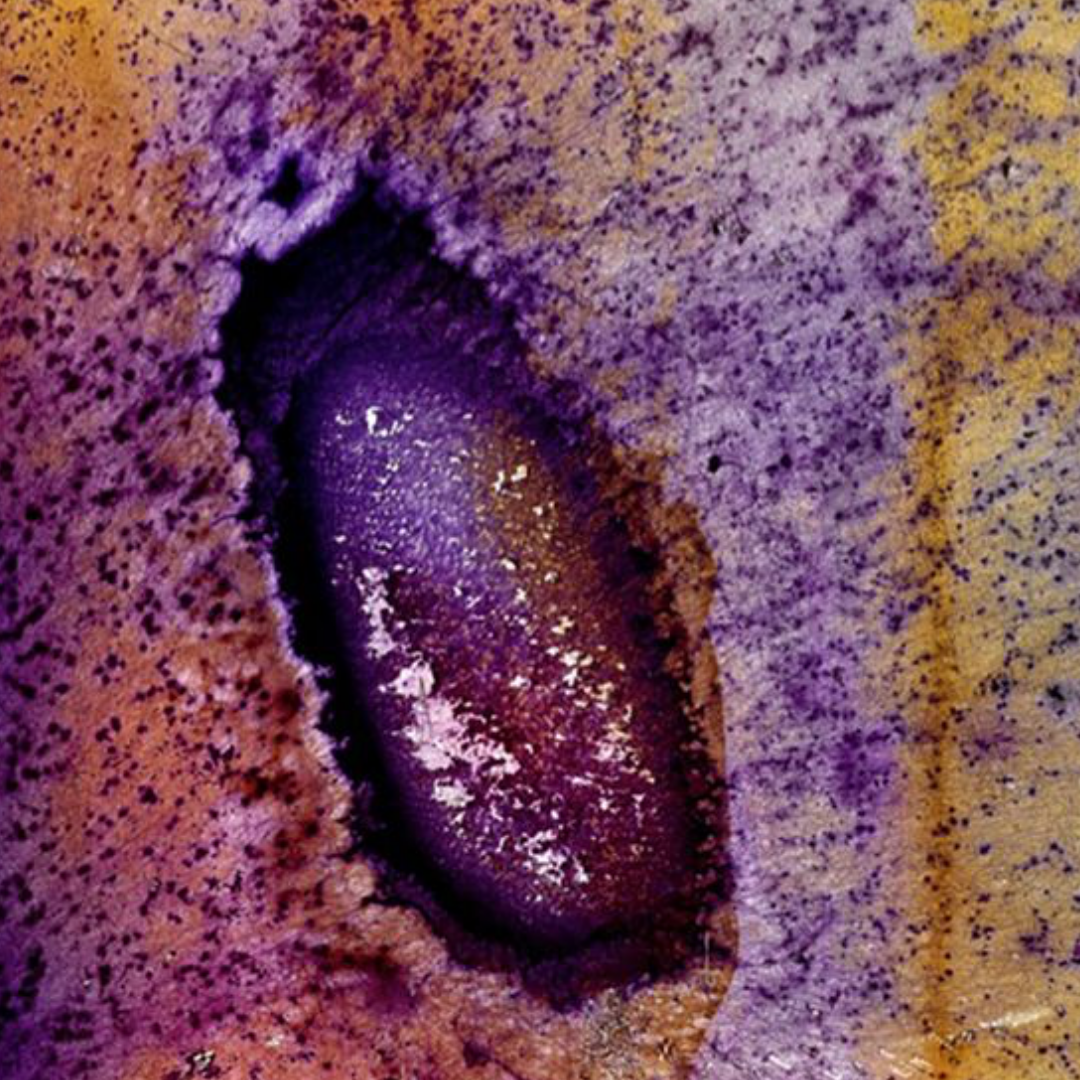 Deterioration Series 004, 1982 - 2013