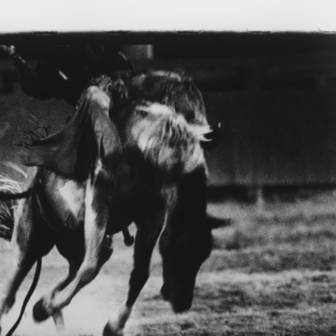 Rodeo in Gallup, Arizona