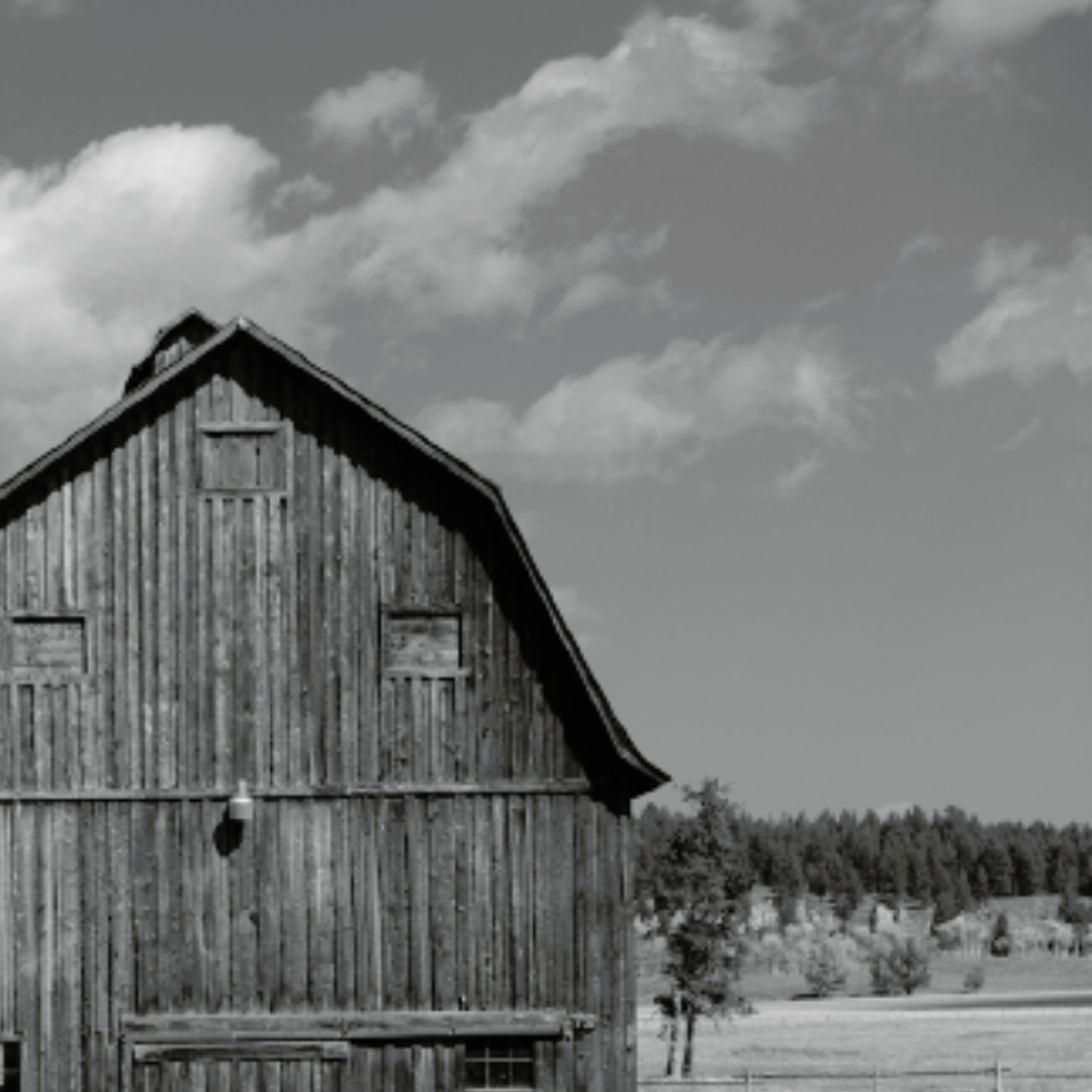 Barn II, Jackson-Wyoming, 2004