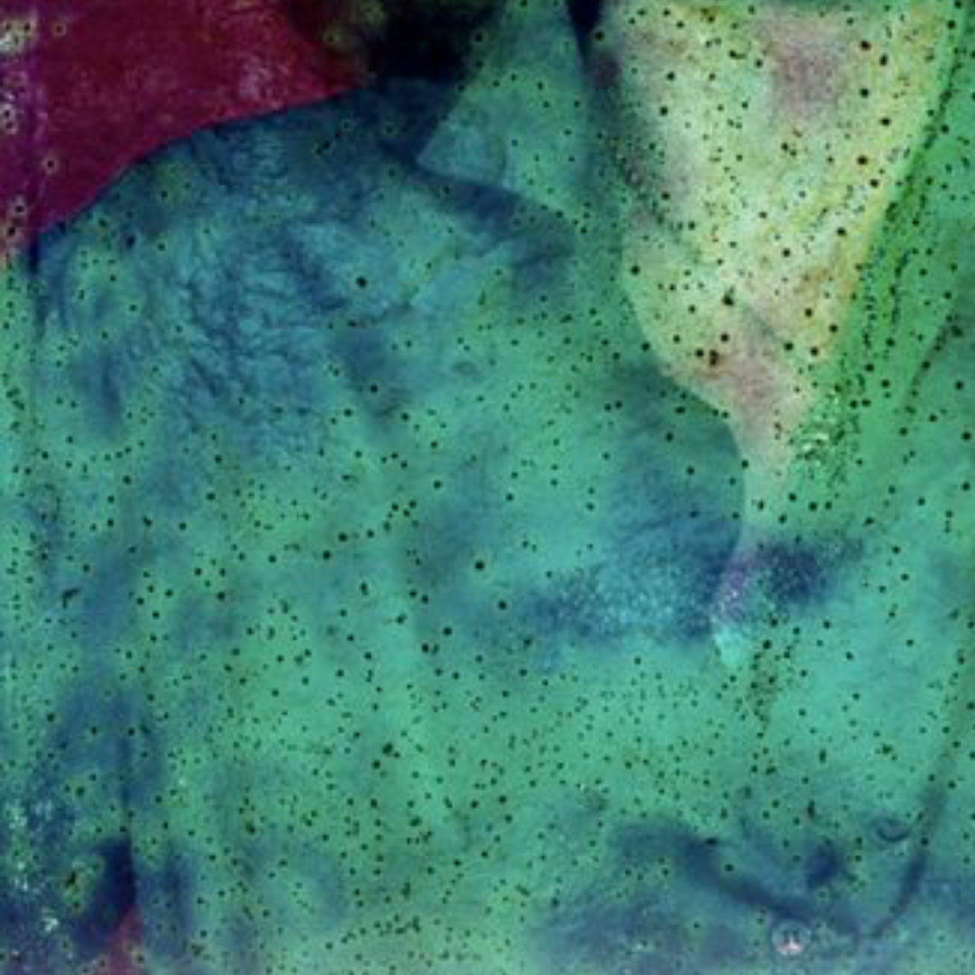 Deterioration Series 023, 1979 - 2013