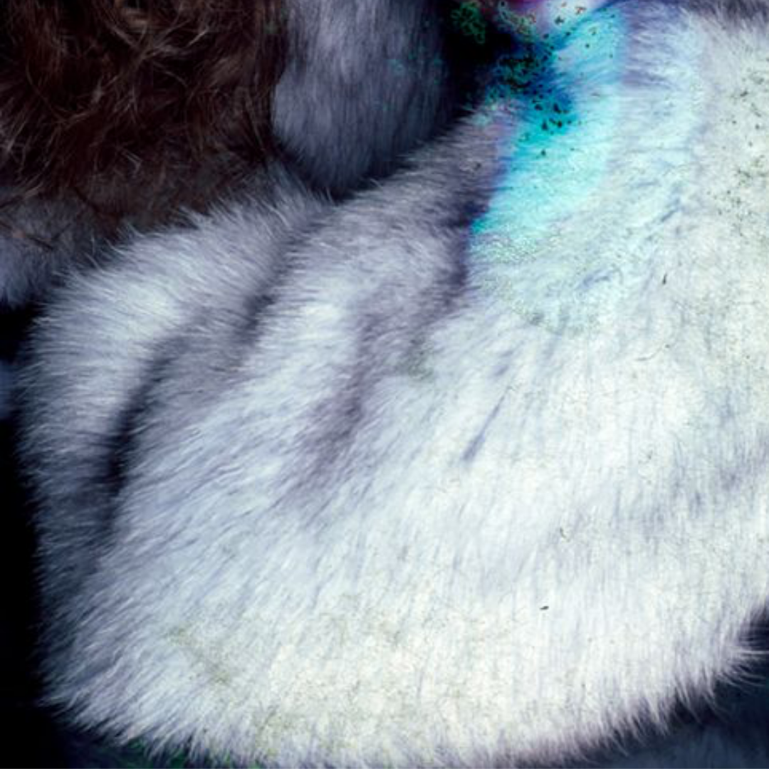 Deterioration Series 115, 1980 - 2013