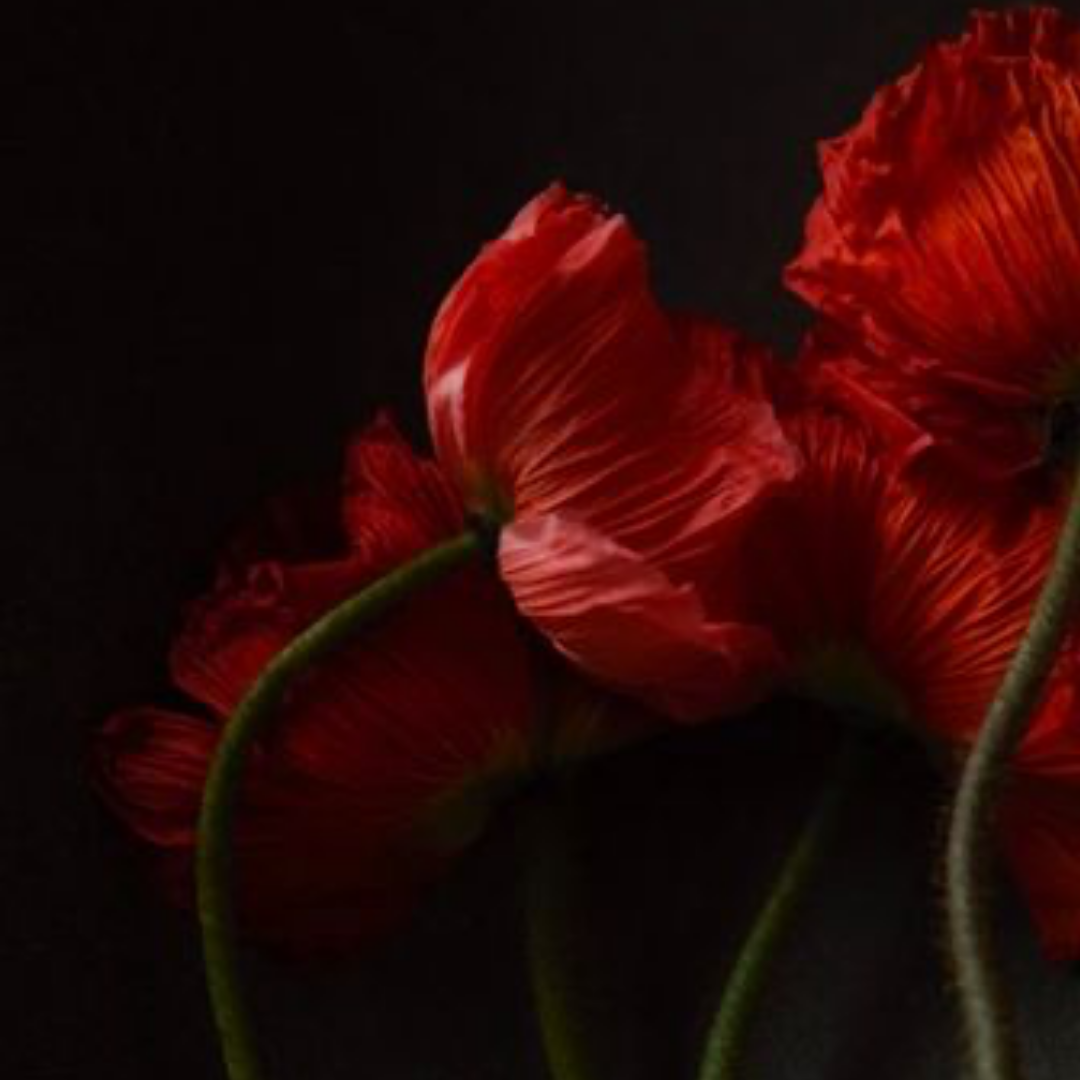 QUARANTINE FLOWERS, LONDON, 2021