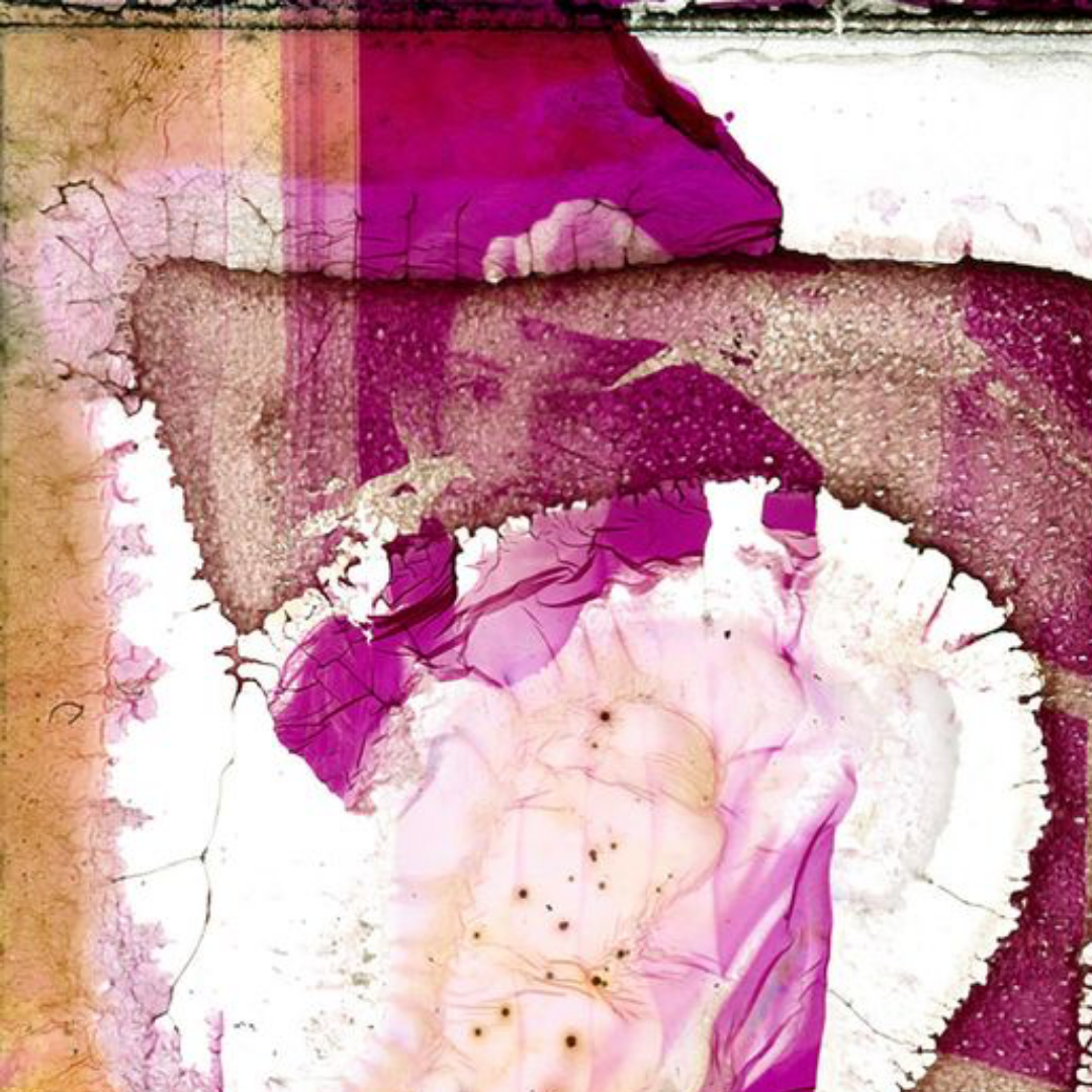 Deterioration Series 147, 1982 - 2013