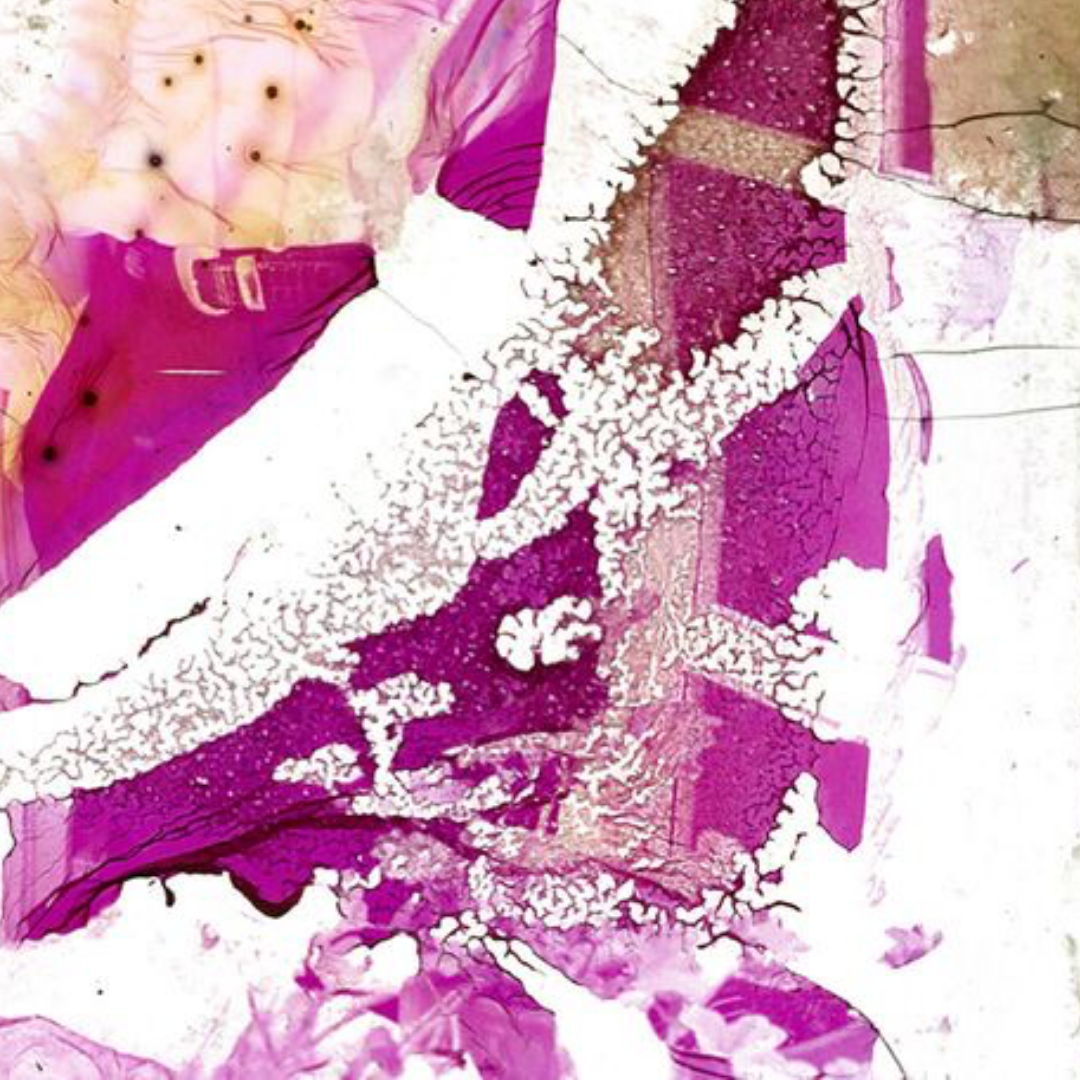 Deterioration Series 147, 1982 - 2013