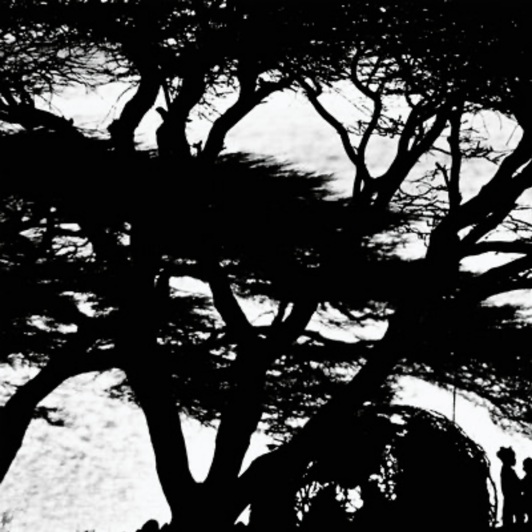 Lake Turkana, the Cradle of Humanity