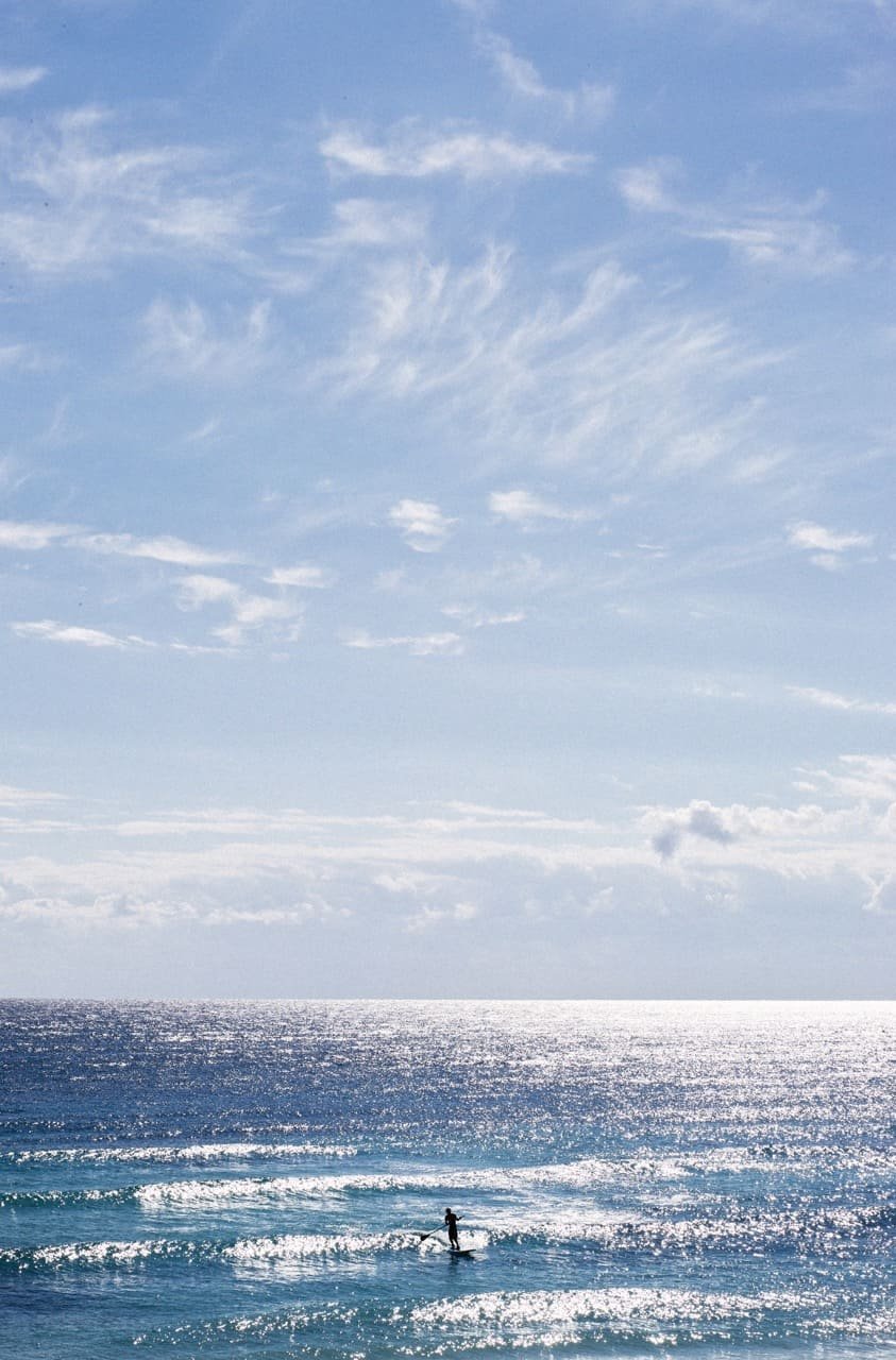 Blue is the Warmest Color