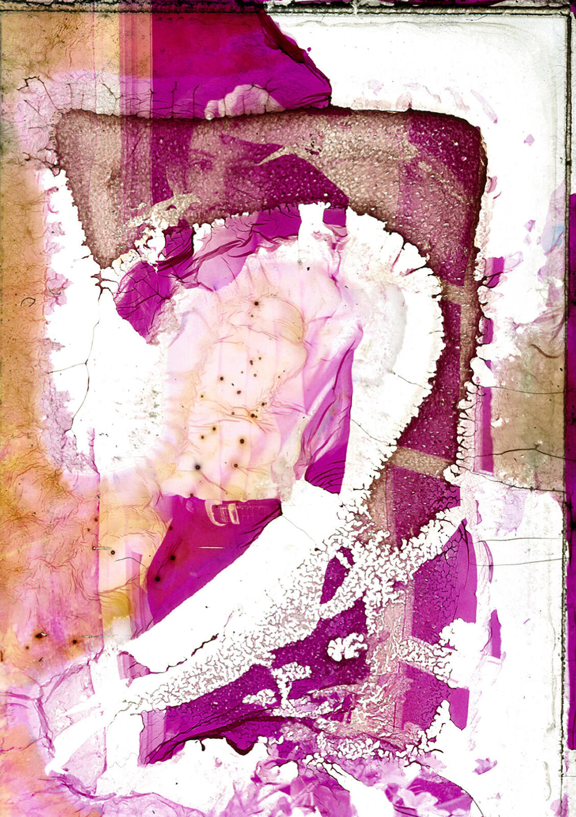 Deterioration Series 147, 1982 - 2013