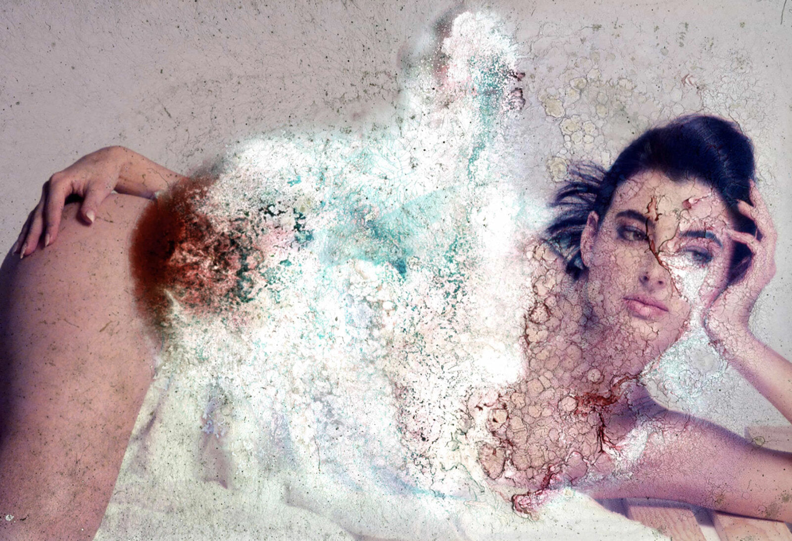 Deterioration Series 155, 1982 - 2013