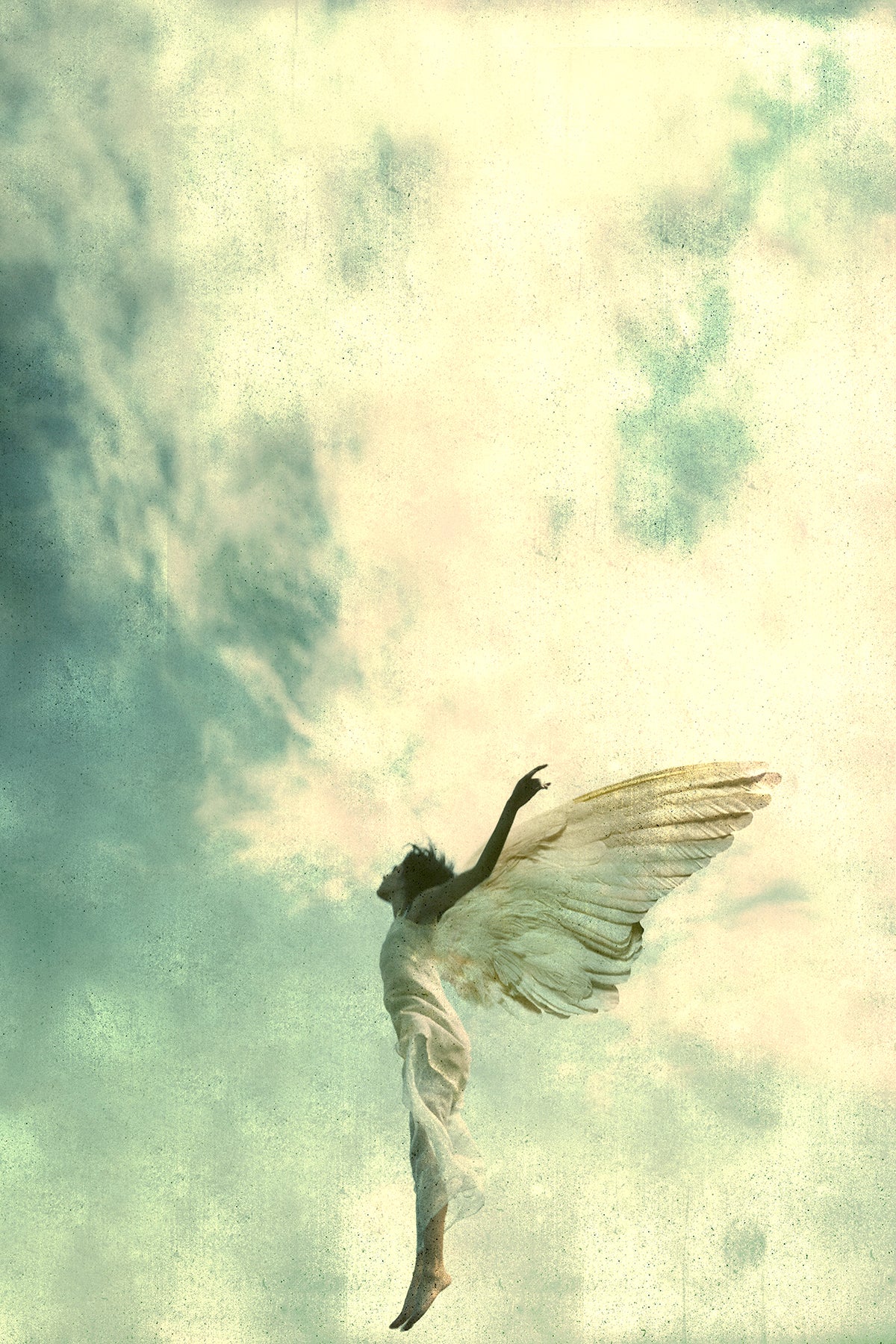 Fallen Angel 22, 2015