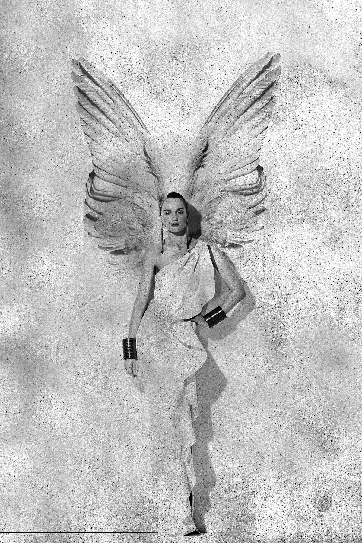 Fallen Angel 24, 2015