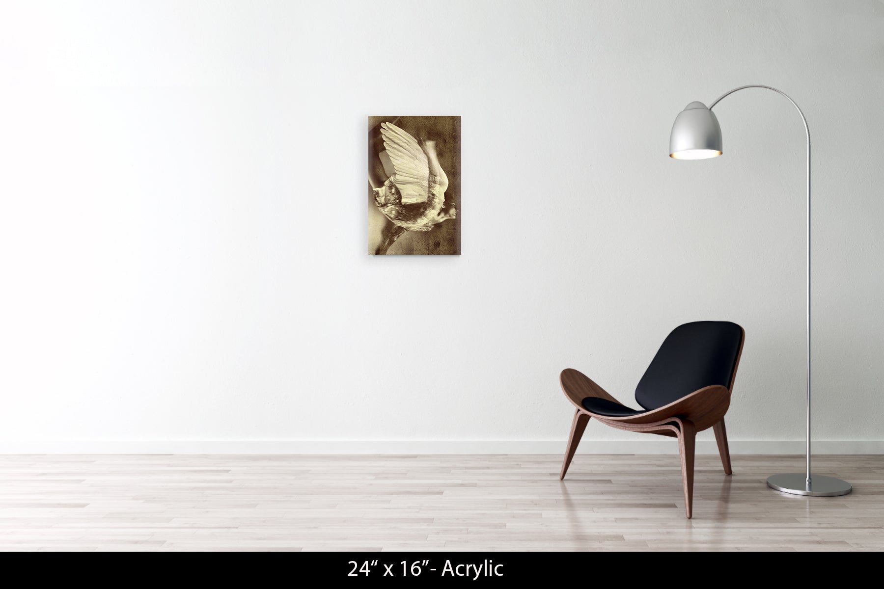 Fallen Angel 25, 2015