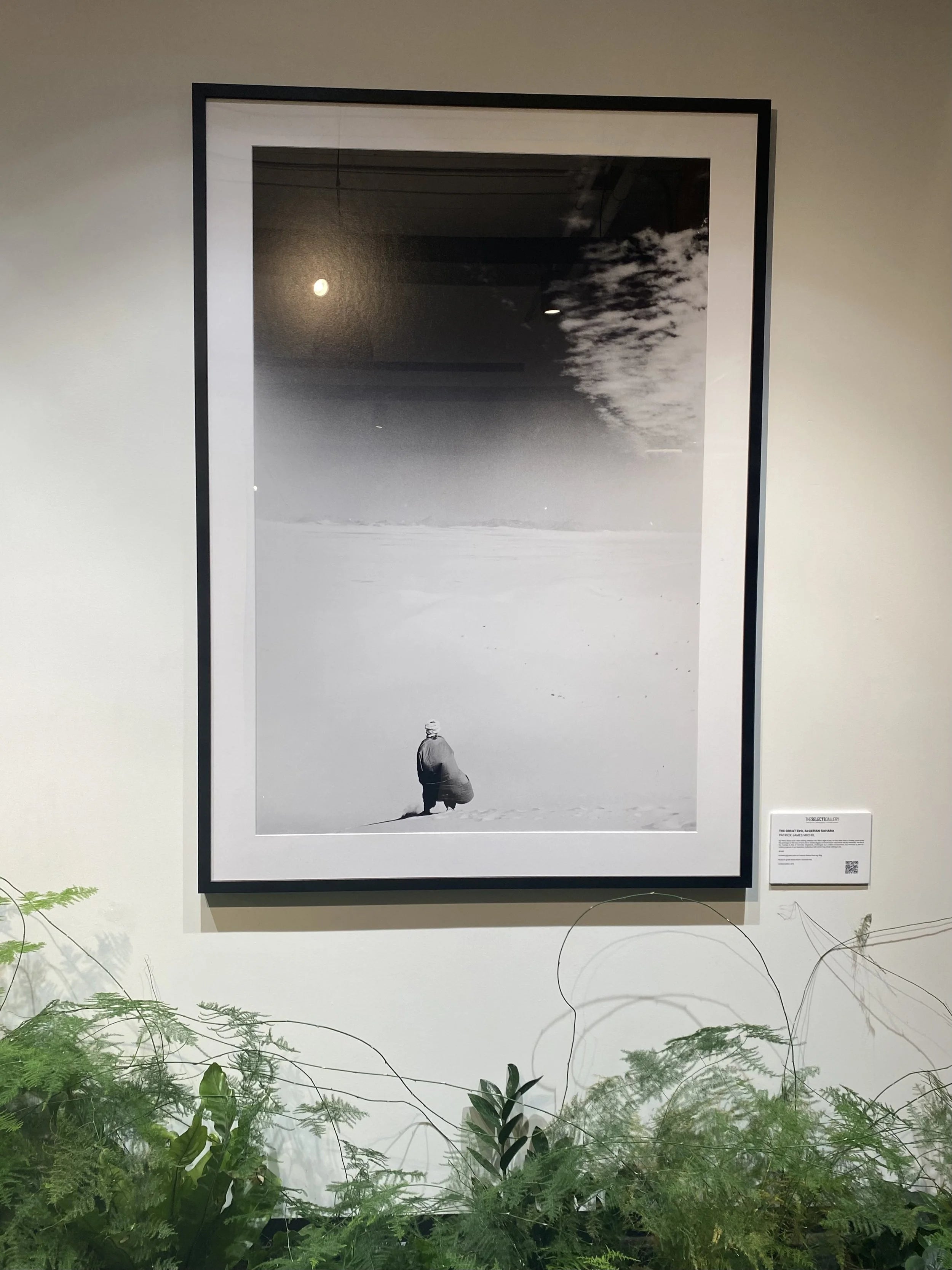 {"loading" => "lazy", "sizes" => nil, "widths" => "165, 360, 535, 750, 1070, 1500"}