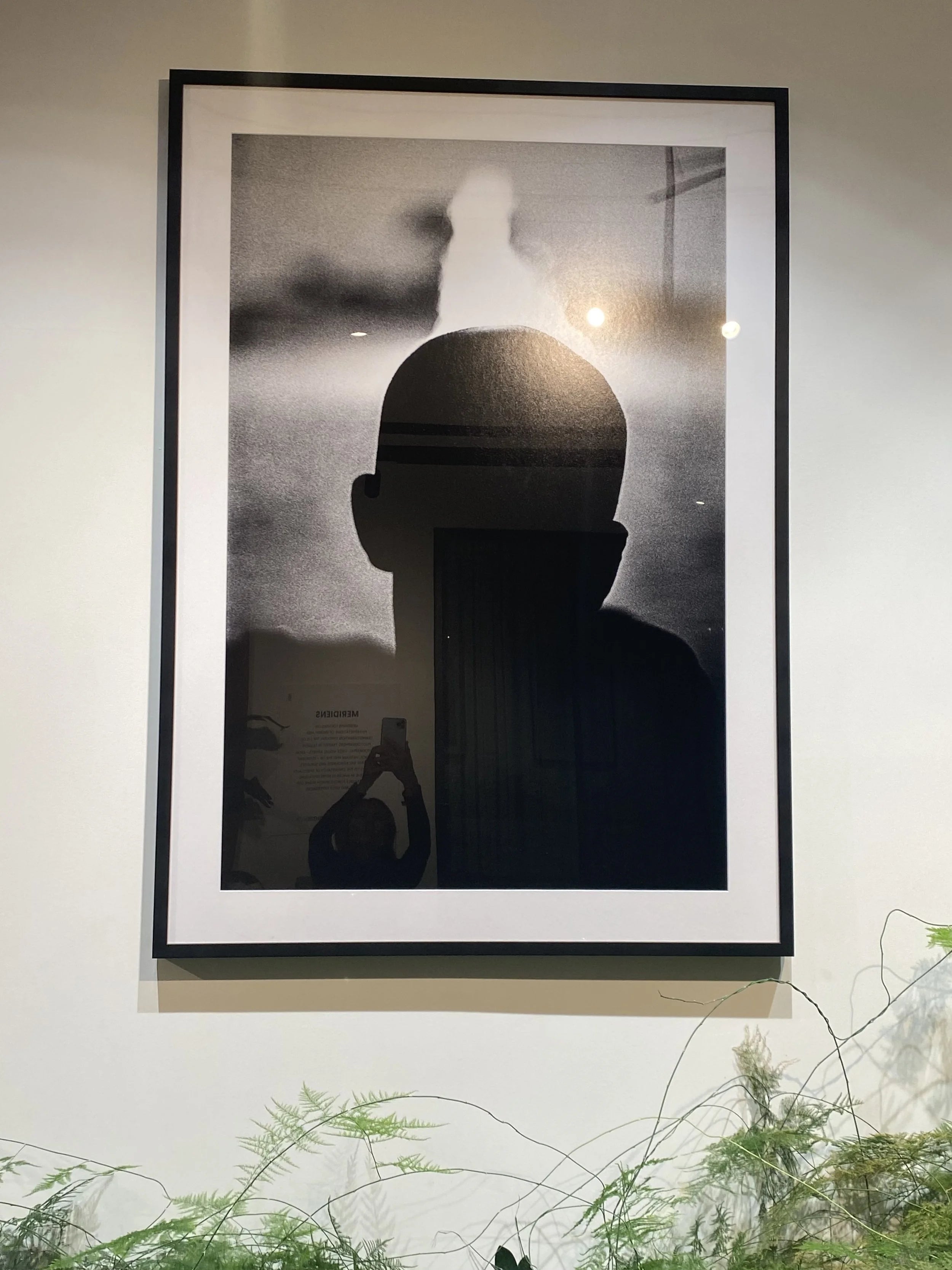 {"loading" => "lazy", "sizes" => nil, "widths" => "165, 360, 535, 750, 1070, 1500"}