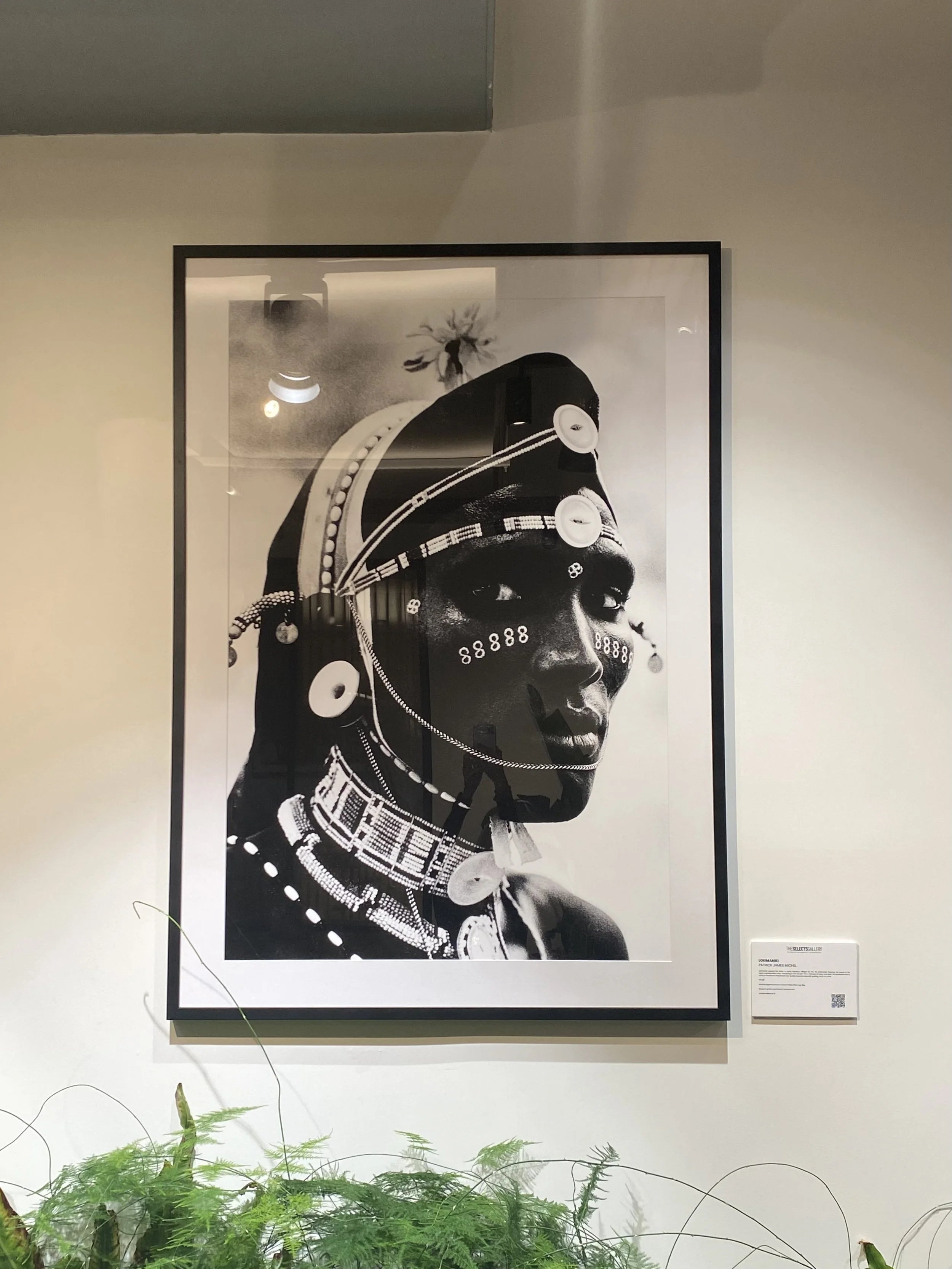 {"loading" => "lazy", "sizes" => nil, "widths" => "165, 360, 535, 750, 1070, 1500"}