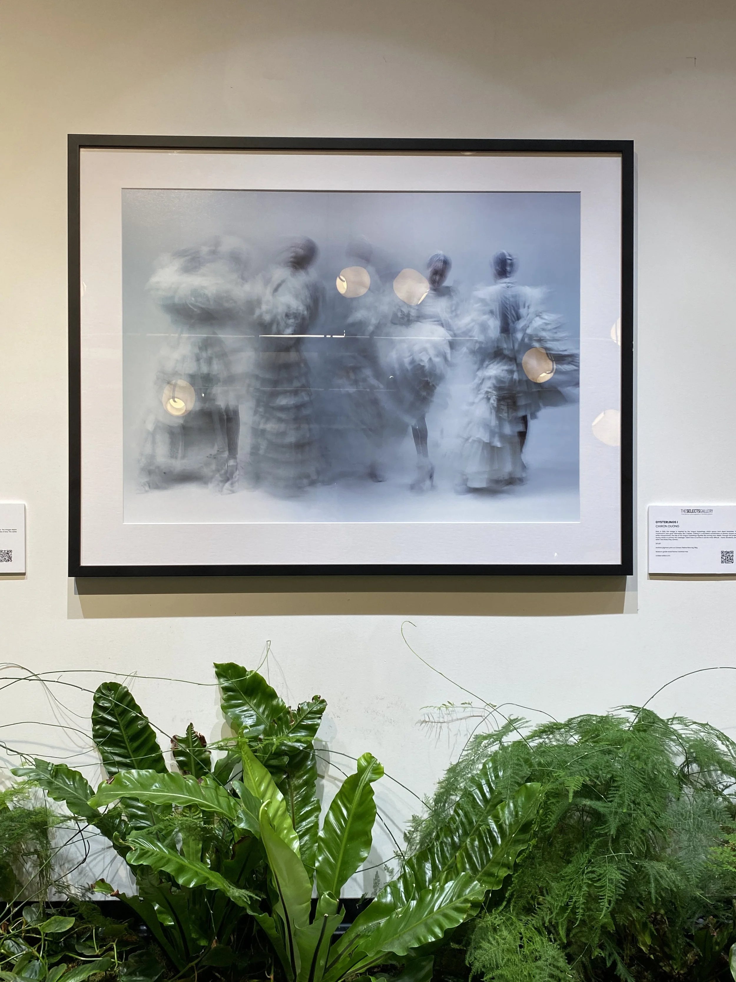 {"loading" => "lazy", "sizes" => nil, "widths" => "165, 360, 535, 750, 1070, 1500"}