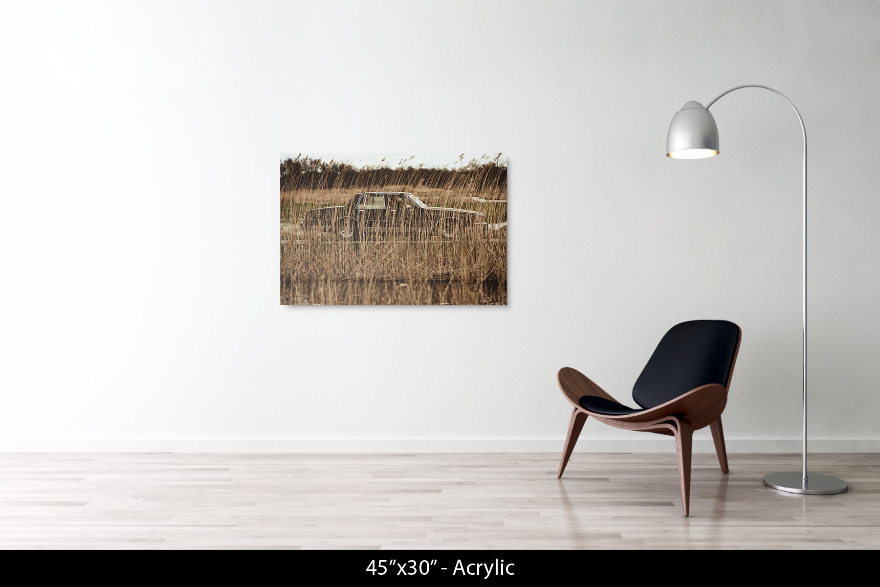 Untitled (Car in Reeds)