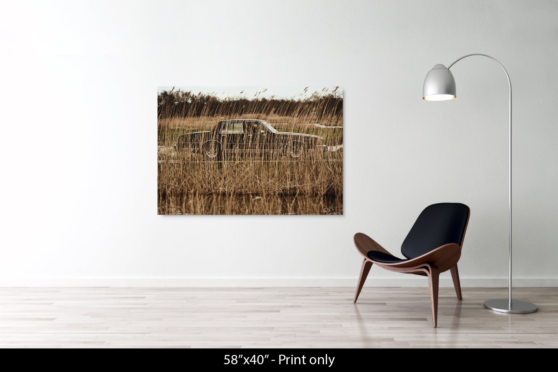 Untitled (Car in Reeds)