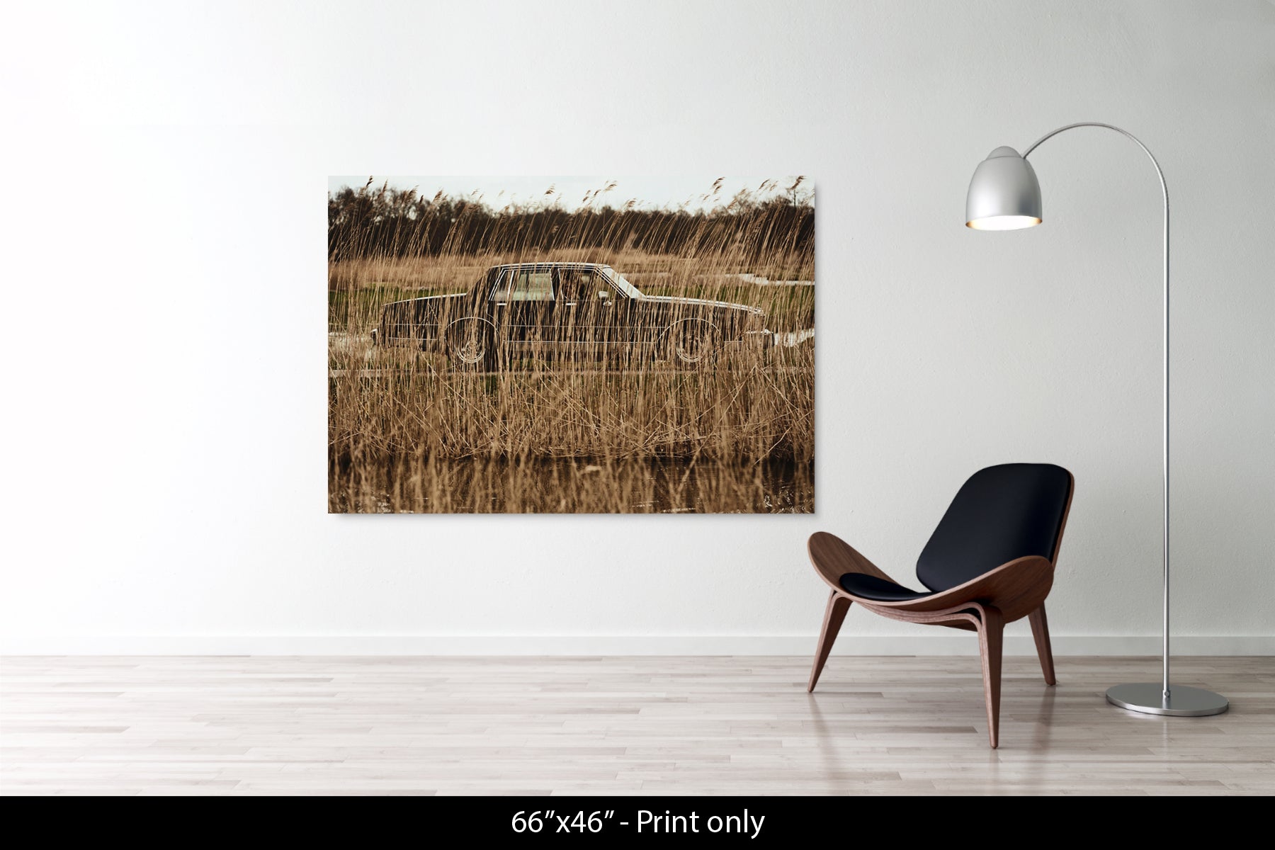 Untitled (Car in Reeds)