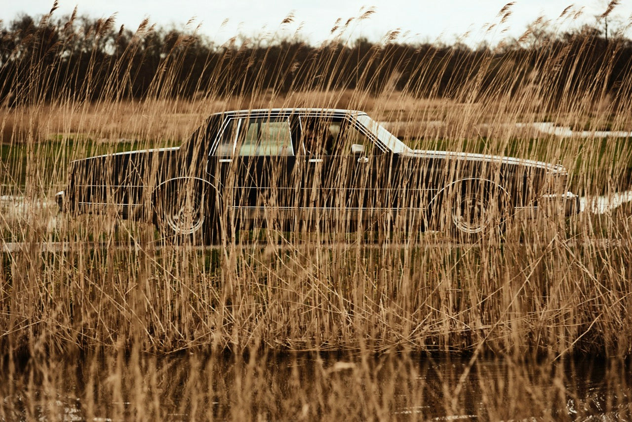 Untitled (Car in Reeds)
