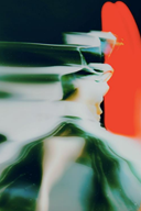 MIDNIGHT IN THE JUNGLE II